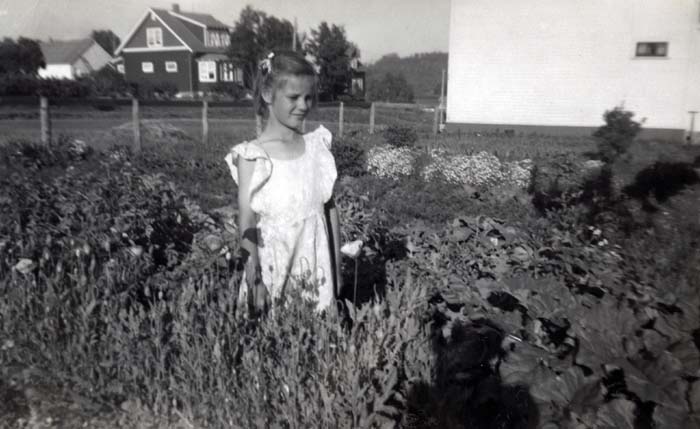 1955_c_Halme_E4990_photo013_edited
