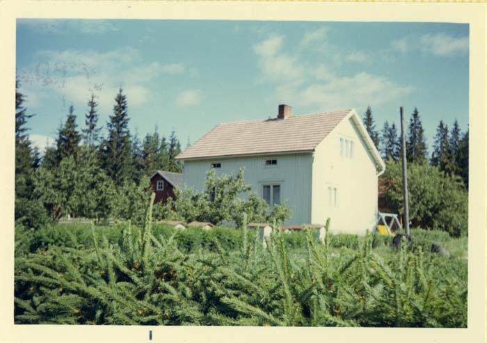 1967_BosnichFinland_E4990_photo_011
