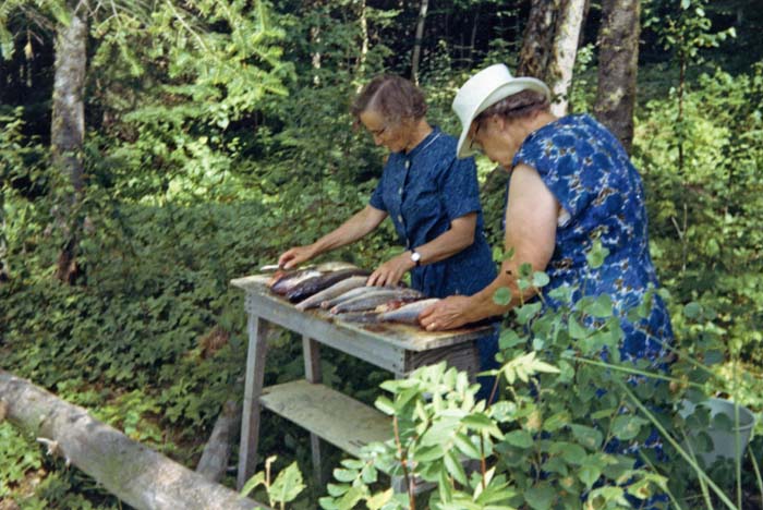 1969_BosnichCol_E4990_photo_035_edited