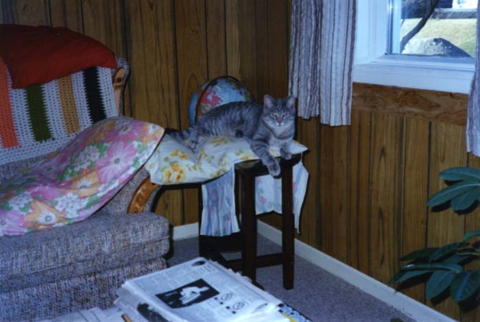 1990_BosnichCol_E4990_photo_048