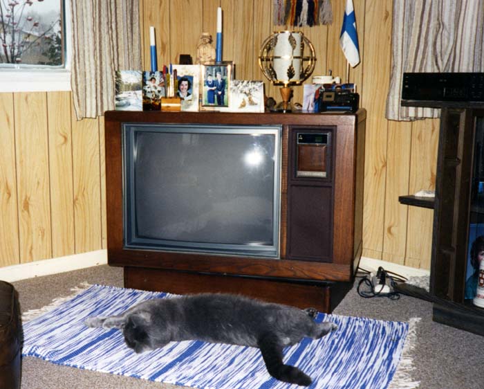 1990_c_HalmeTV001