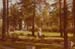 1978_c_Finland_E4990_photo_039